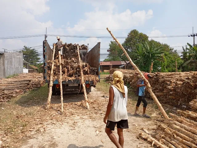 Bongkar kayu dolken di lokasi proyek pelanggan