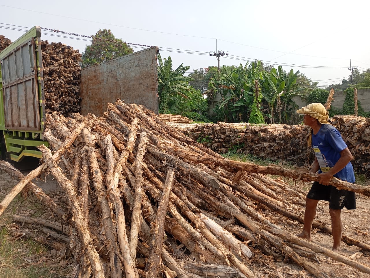 Bongkar muat kayu dolken gelam siap antar ke pelanggan di Batang — foto 2