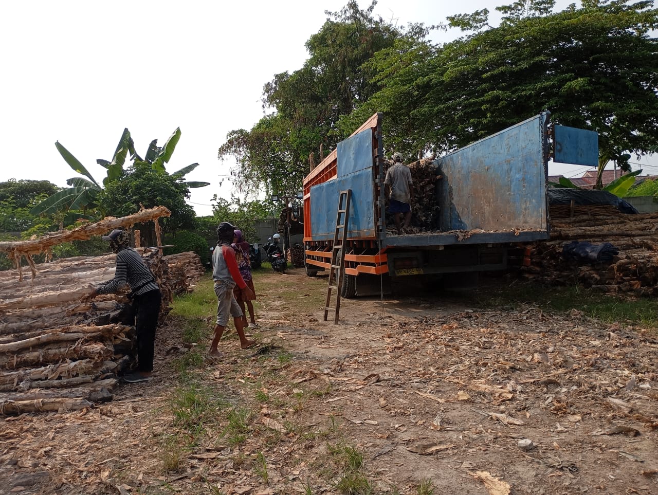 Bongkar muat kayu dolken gelam siap antar ke pelanggan di Boyolali — foto 1
