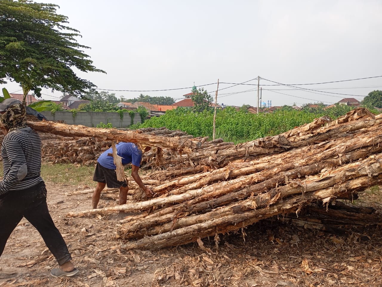 Bongkar muat kayu dolken gelam siap antar ke pelanggan di Boyolali — foto 2
