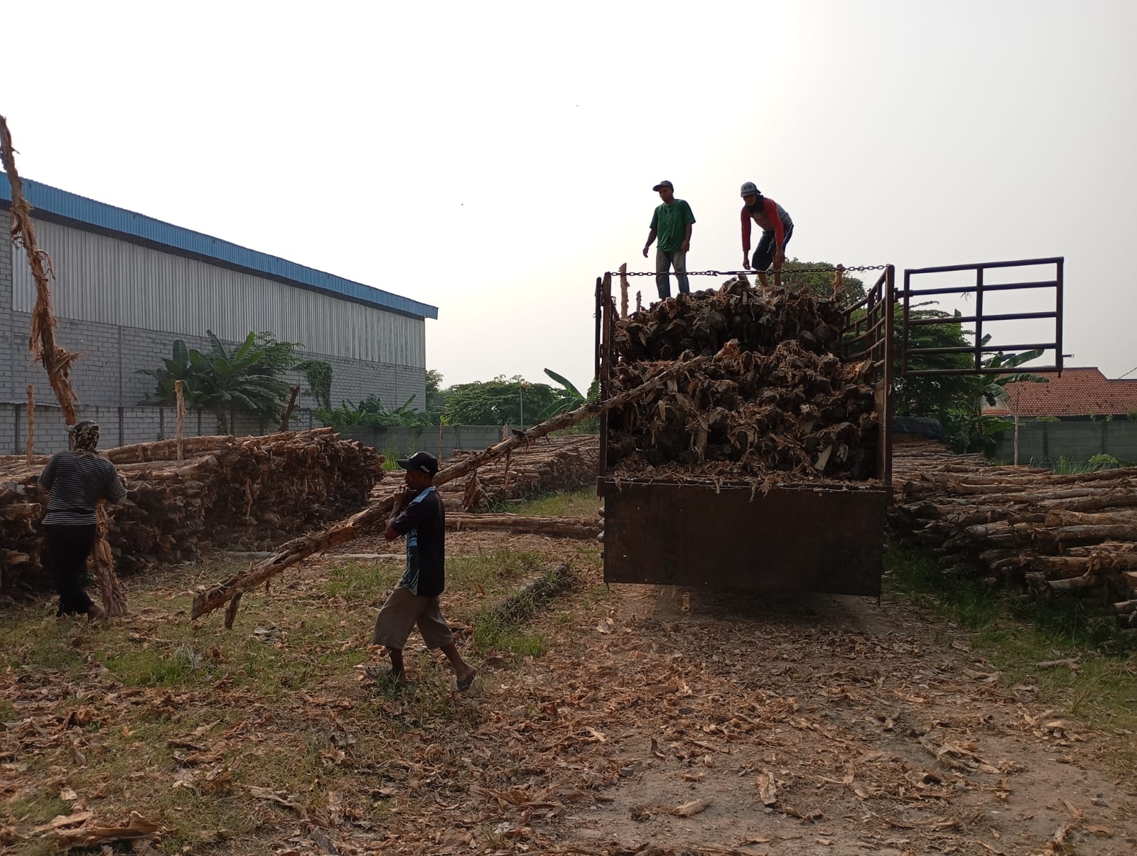 Bongkar muat kayu dolken gelam siap antar ke pelanggan di Bulukumba — foto 2