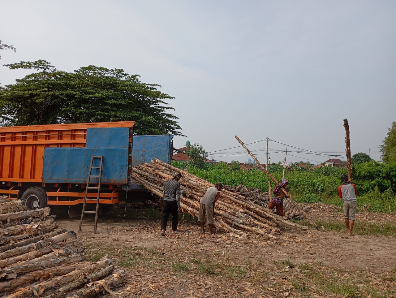 Bongkar muat kayu dolken gelam siap antar ke pelanggan di Cilacap — foto 2
