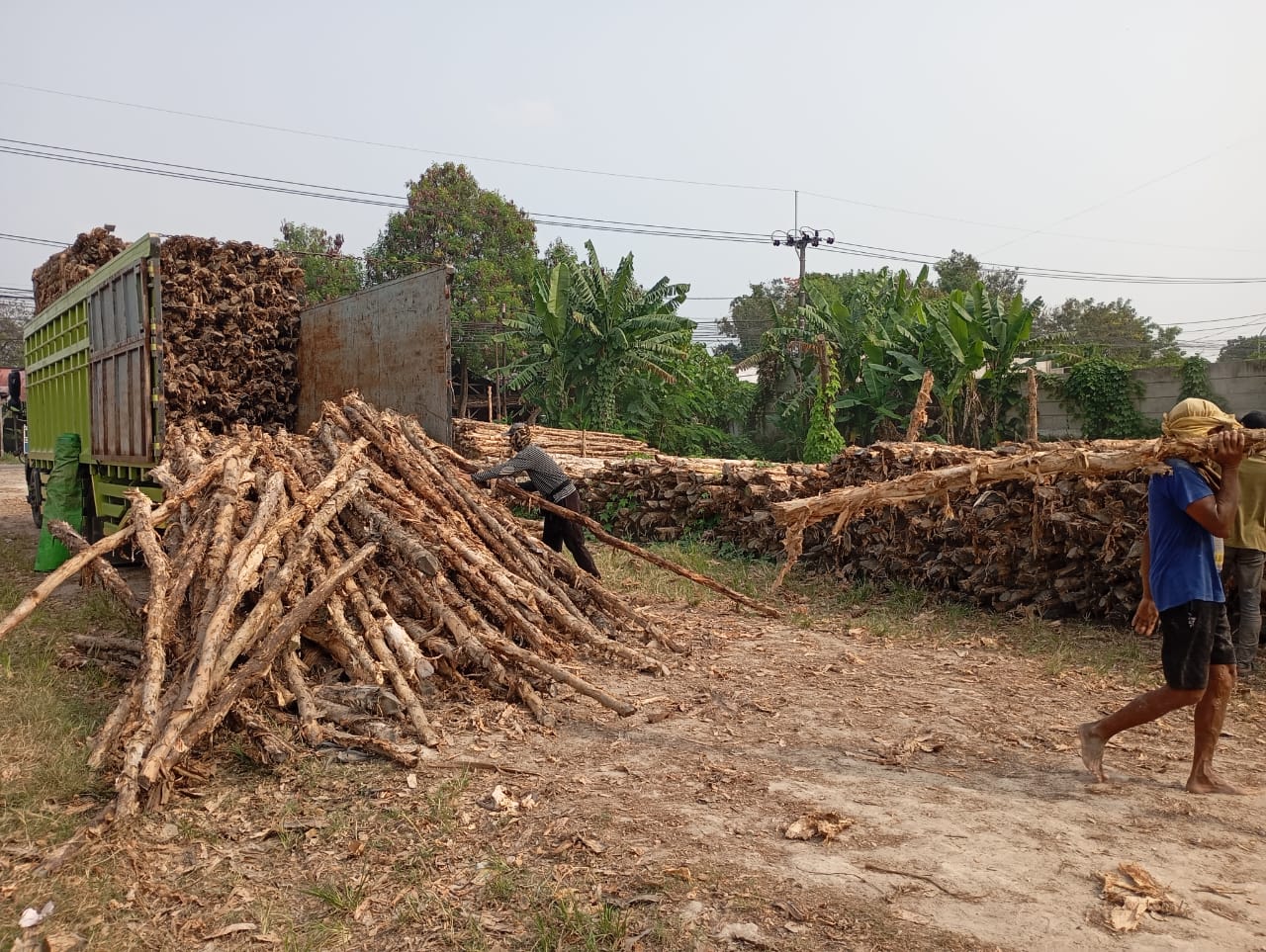 Bongkar muat kayu dolken gelam siap antar ke pelanggan di Cilegon — foto 1