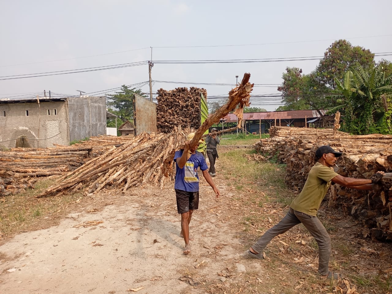 Bongkar muat kayu dolken gelam siap antar ke pelanggan di Cirebon — foto 2