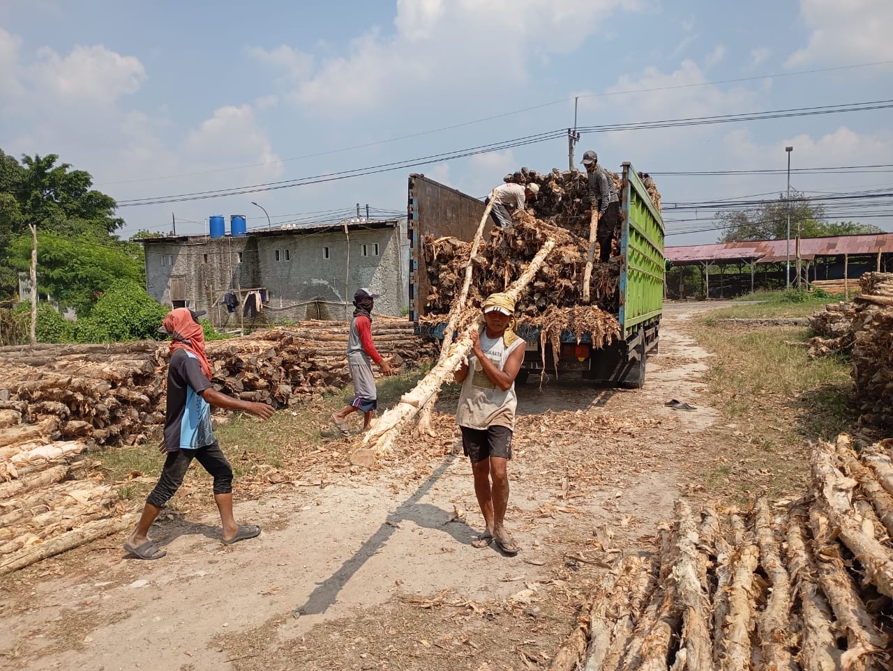 Bongkar muat kayu dolken gelam siap antar ke pelanggan di Demak — foto 2