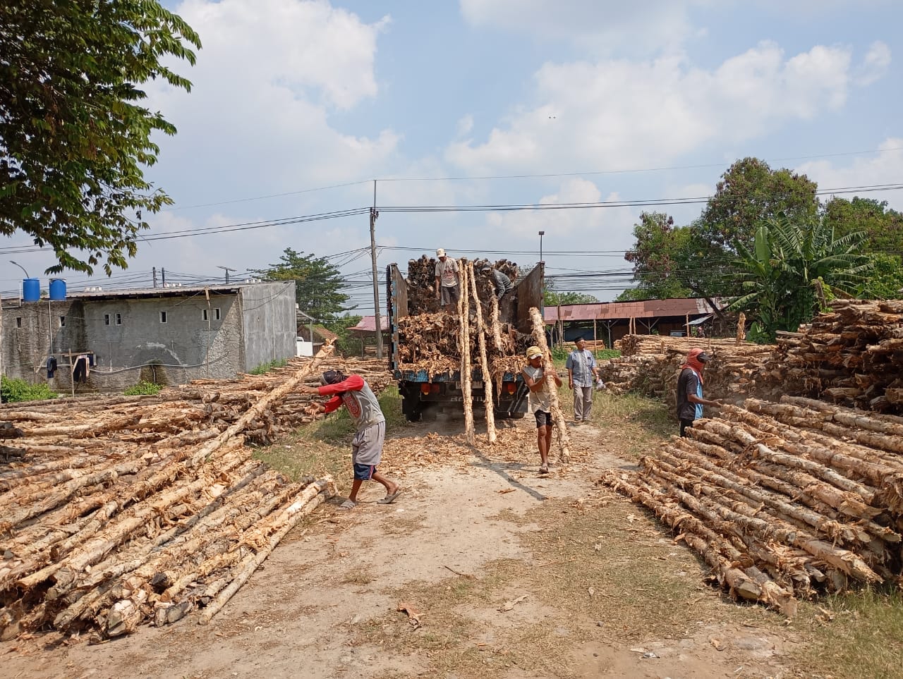 Bongkar muat kayu dolken gelam siap antar ke pelanggan di Garut — foto 1