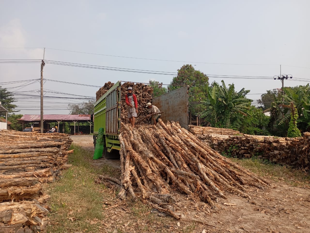Bongkar muat kayu dolken gelam siap antar ke pelanggan di Jakarta Timur — foto 2