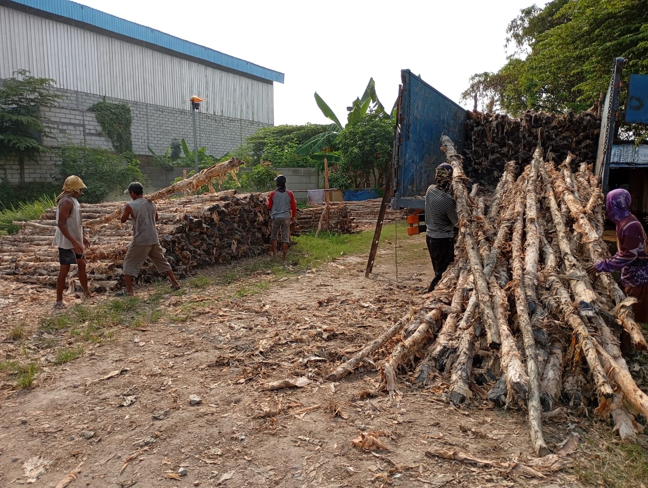Bongkar muat kayu dolken gelam siap antar ke pelanggan di Jakarta Utara — foto 1