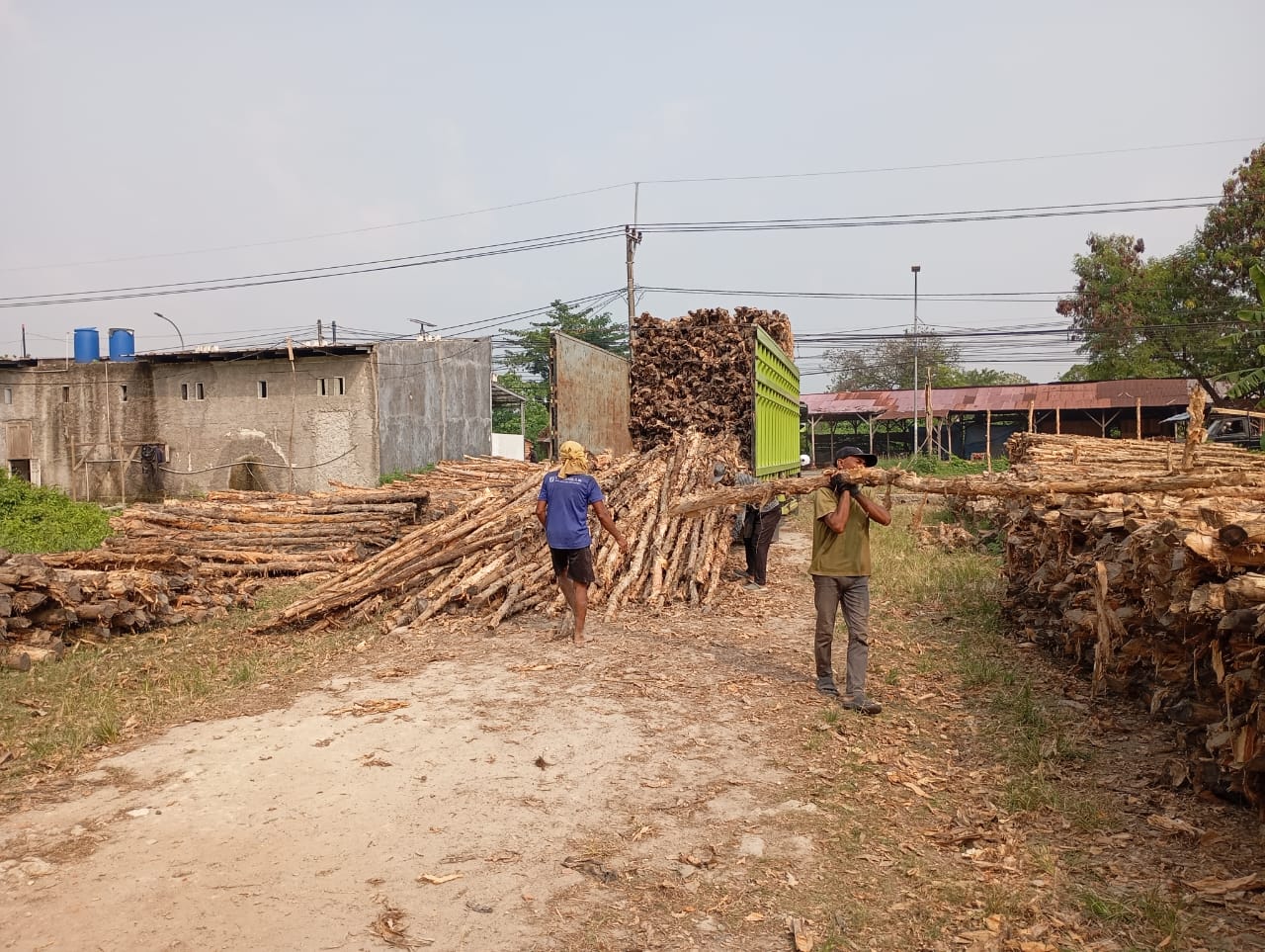 Bongkar muat kayu dolken gelam siap antar ke pelanggan di Kolaka — foto 2