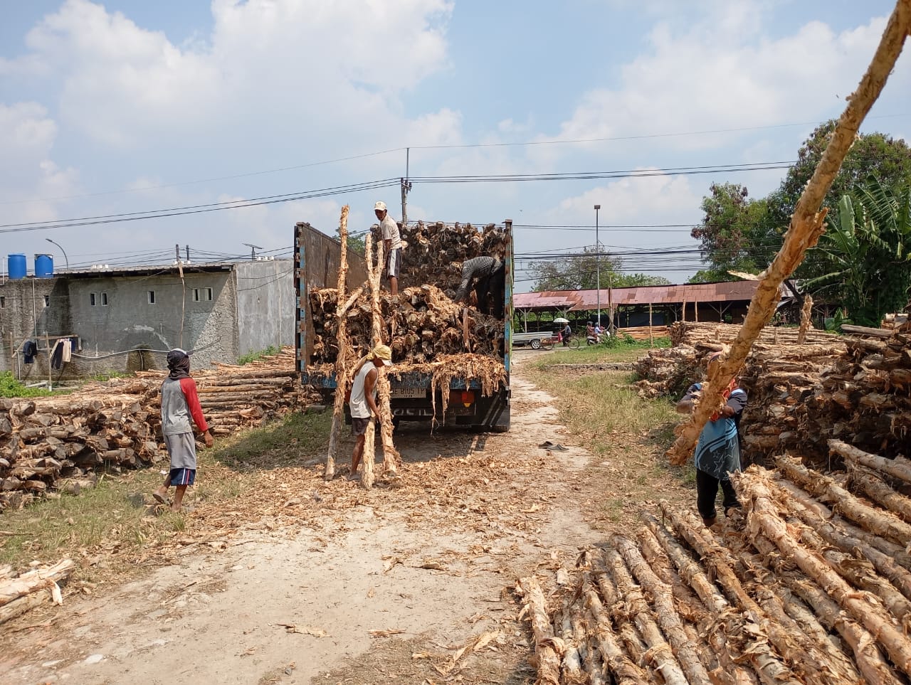 Bongkar muat kayu dolken gelam siap antar ke pelanggan di Kudus — foto 2