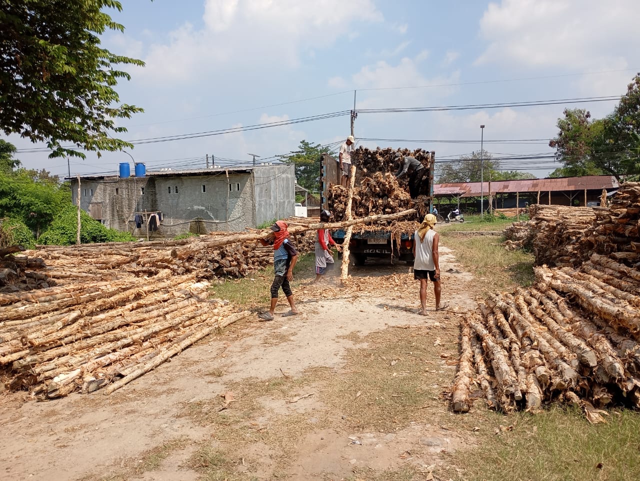Bongkar muat kayu dolken gelam siap antar ke pelanggan di Kuningan — foto 2
