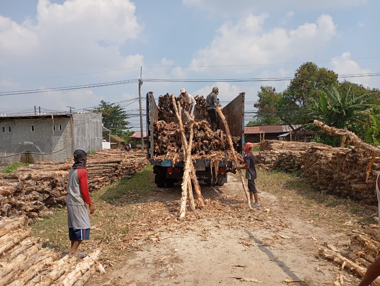 Bongkar muat kayu dolken gelam siap antar ke pelanggan di Lebak — foto 1