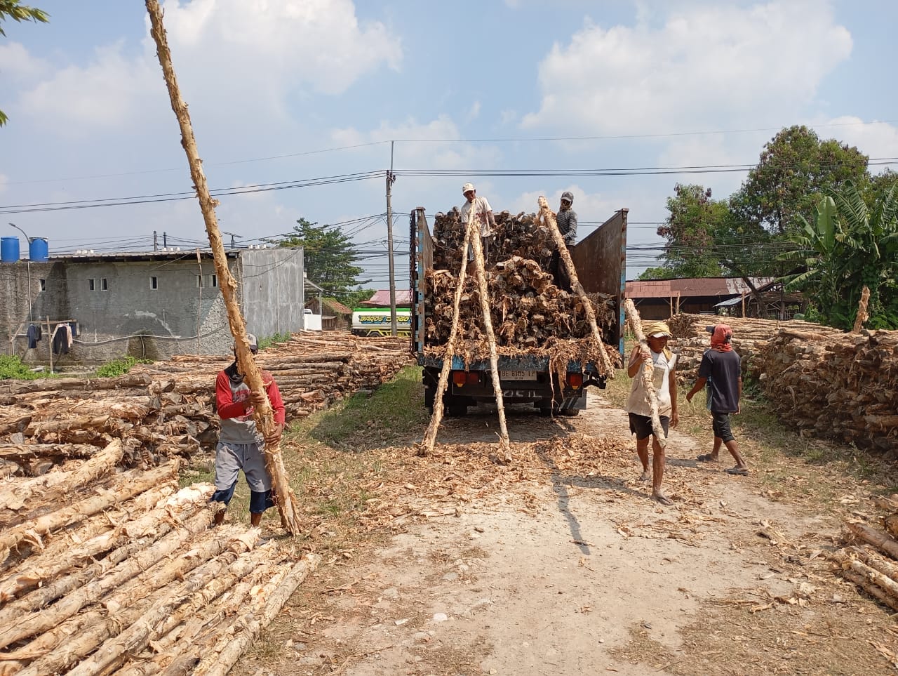Bongkar muat kayu dolken gelam siap antar ke pelanggan di Majalengka — foto 2
