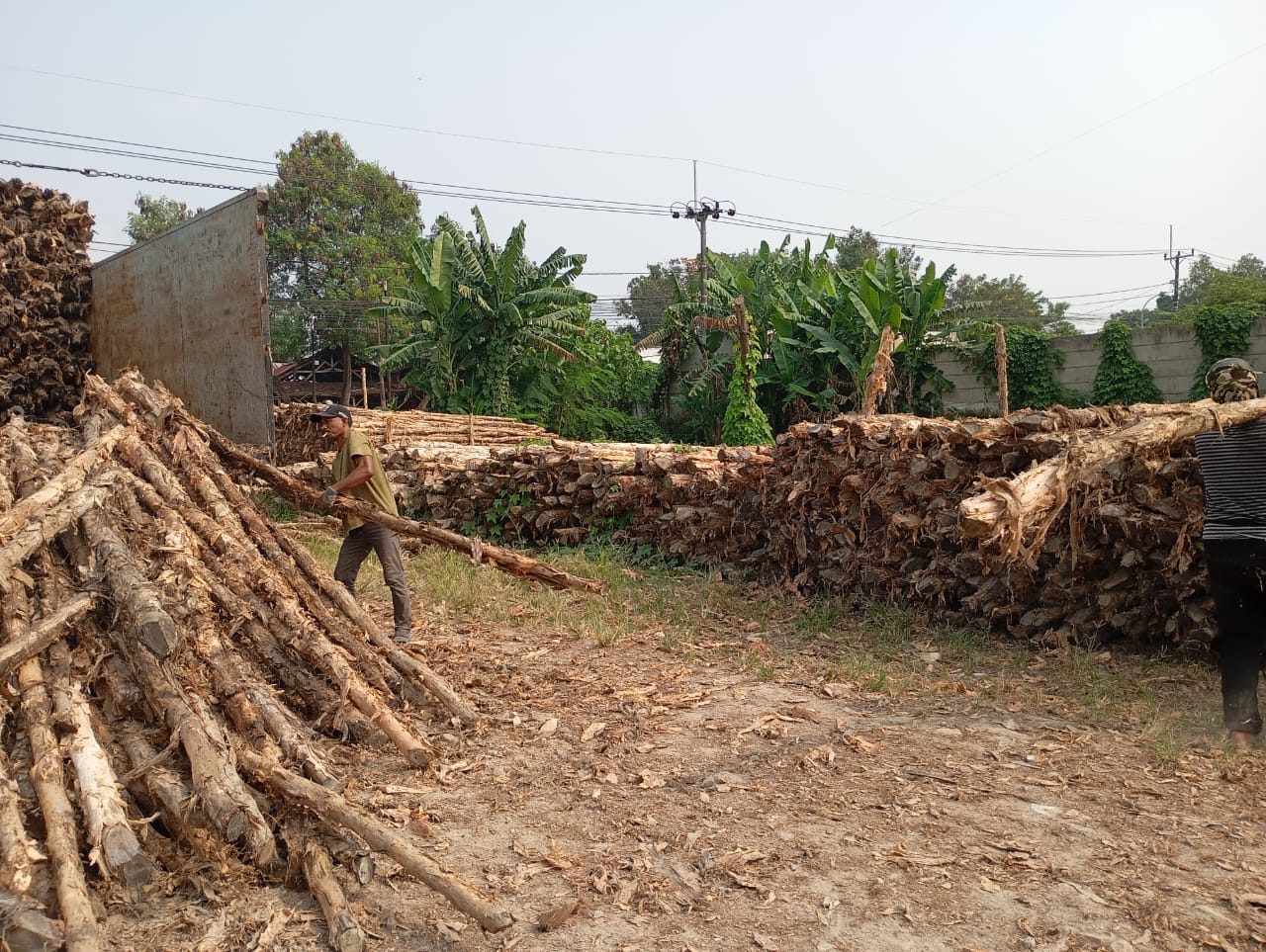 Bongkar muat kayu dolken gelam siap antar ke pelanggan di Makassar — foto 1