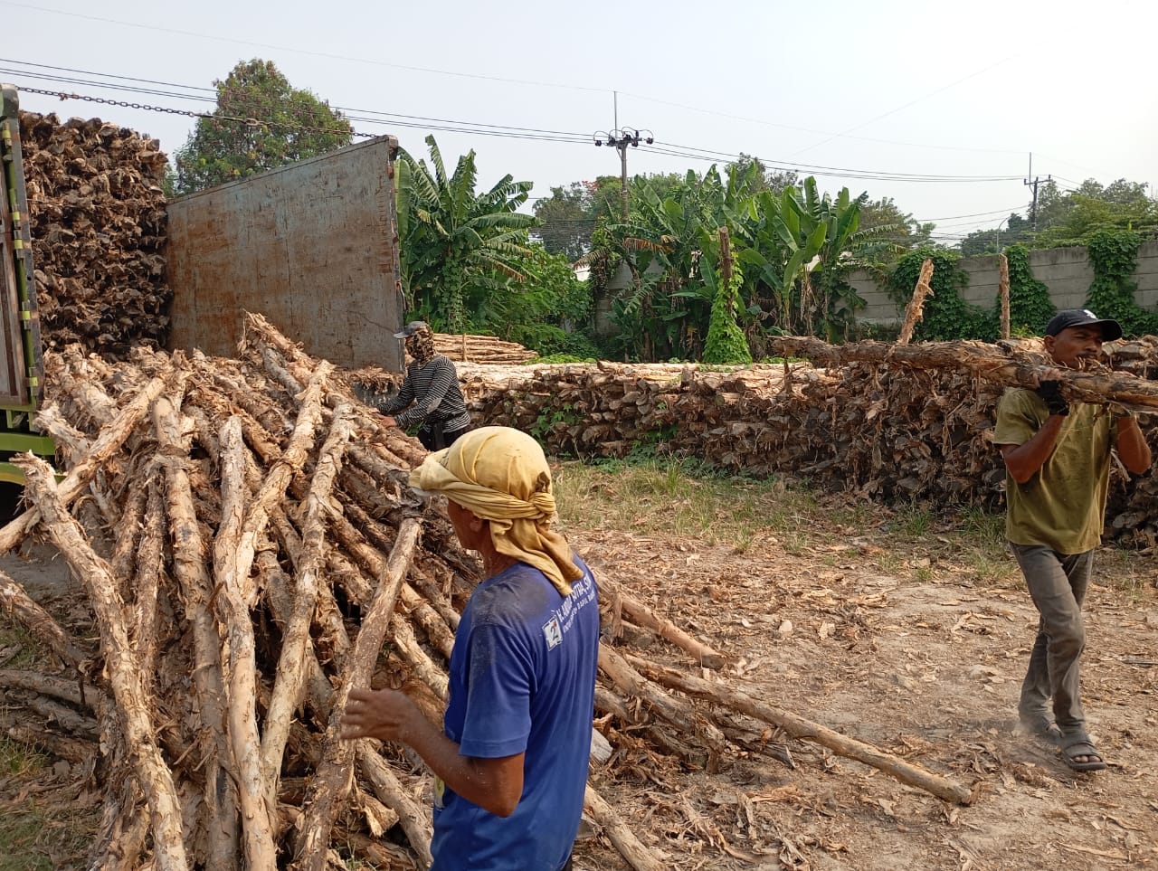 Bongkar muat kayu dolken gelam siap antar ke pelanggan di Maros — foto 2