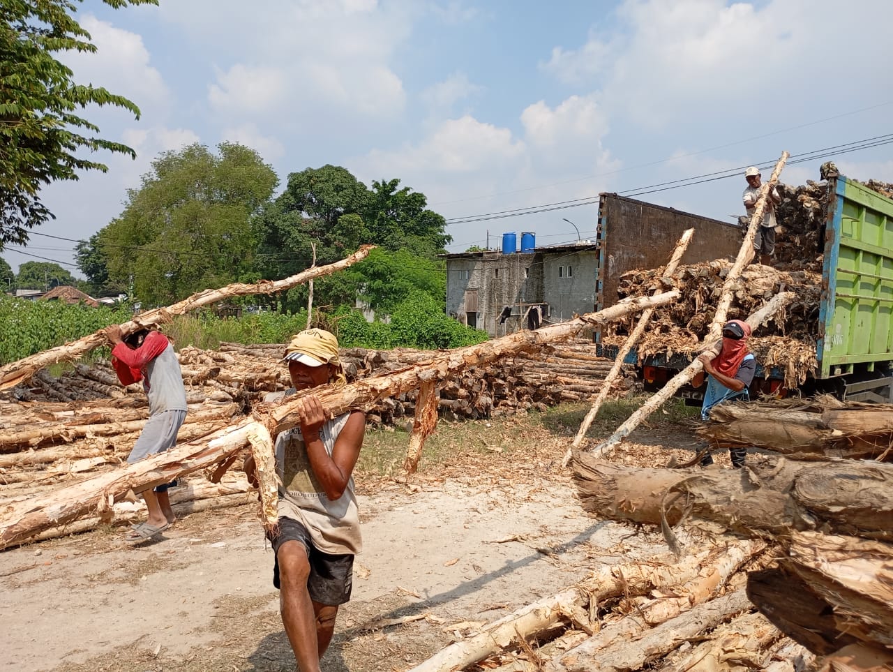Bongkar muat kayu dolken gelam siap antar ke pelanggan di Merak — foto 1