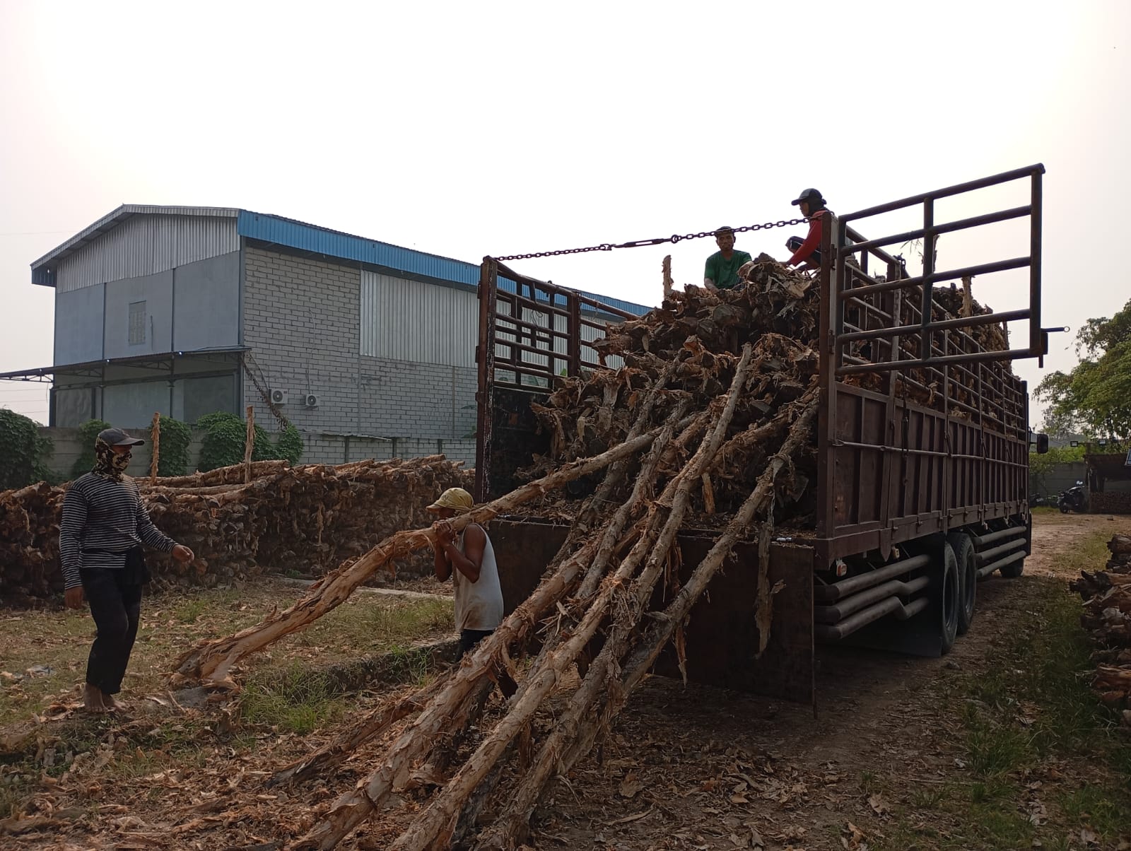 Bongkar muat kayu dolken gelam siap antar ke pelanggan di Palopo — foto 2