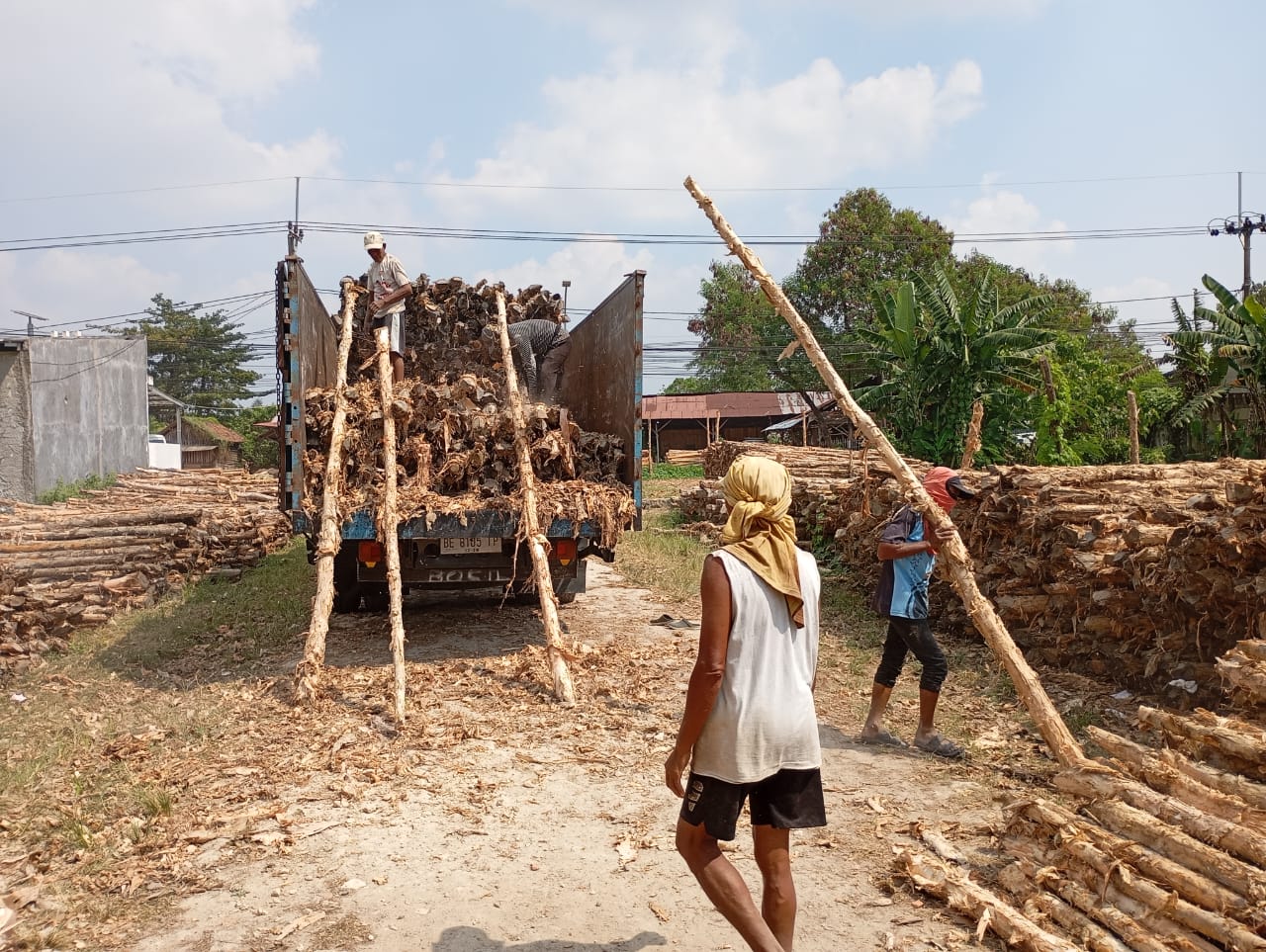 Bongkar muat kayu dolken gelam siap antar ke pelanggan di Palu — foto 1