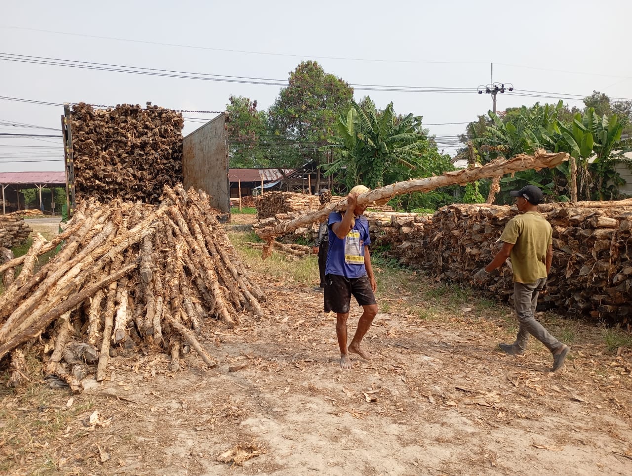 Bongkar muat kayu dolken gelam siap antar ke pelanggan di Poso — foto 2