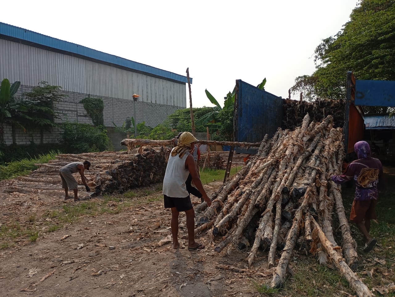Bongkar muat kayu dolken gelam siap antar ke pelanggan di Purbalingga — foto 1