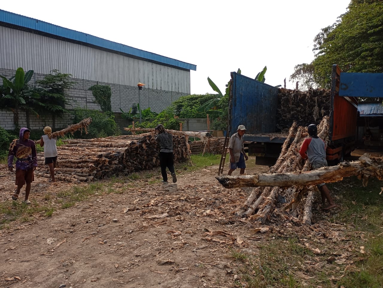 Bongkar muat kayu dolken gelam siap antar ke pelanggan di Purbalingga — foto 2