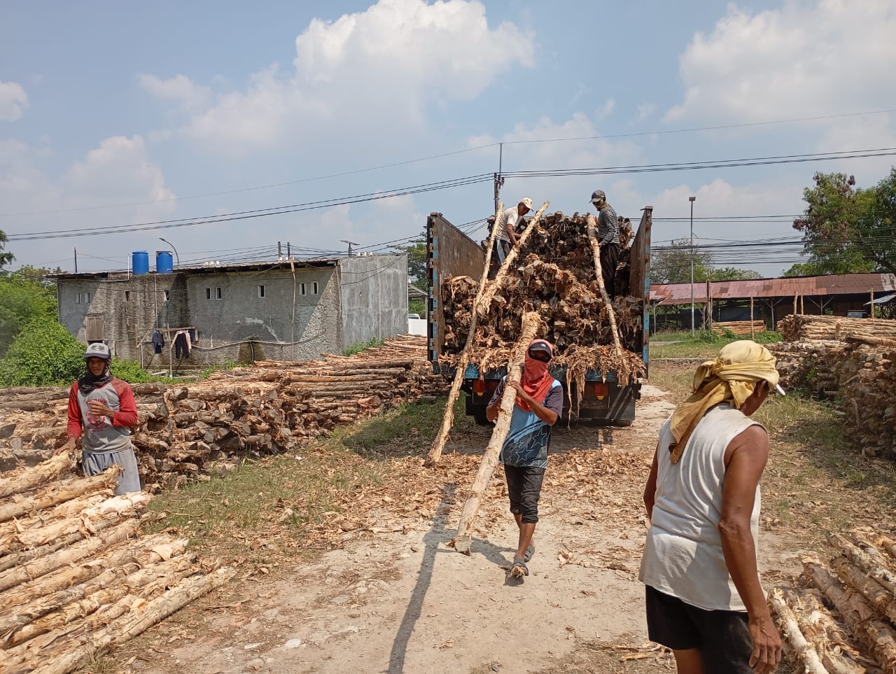 Bongkar muat kayu dolken gelam siap antar ke pelanggan di Purwakarta — foto 2