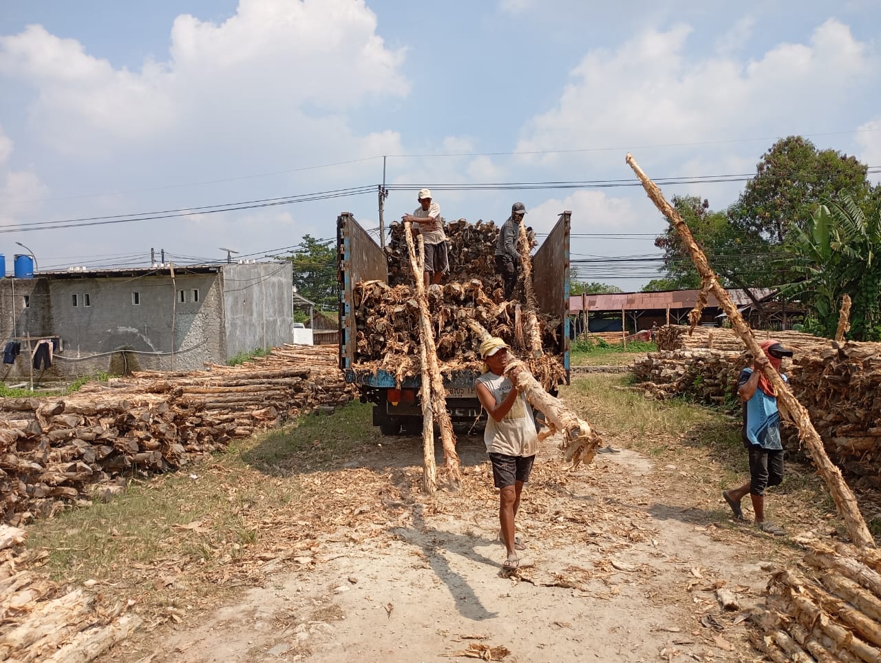 Bongkar muat kayu dolken gelam siap antar ke pelanggan di Purwodadi — foto 1