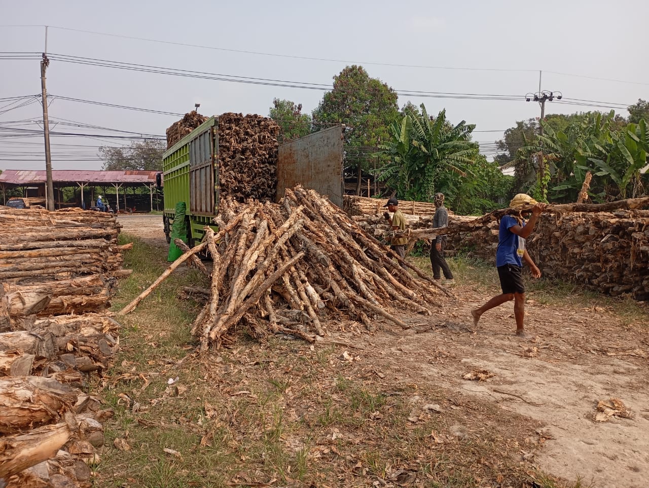 Bongkar muat kayu dolken gelam siap antar ke pelanggan di Slawi — foto 1