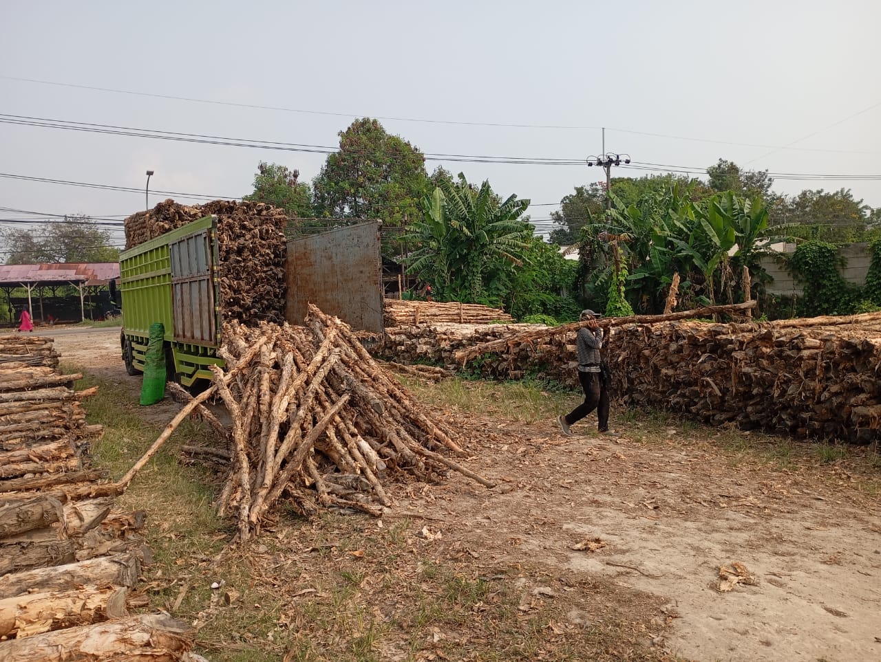 Bongkar muat kayu dolken gelam siap antar ke pelanggan di Slawi — foto 2