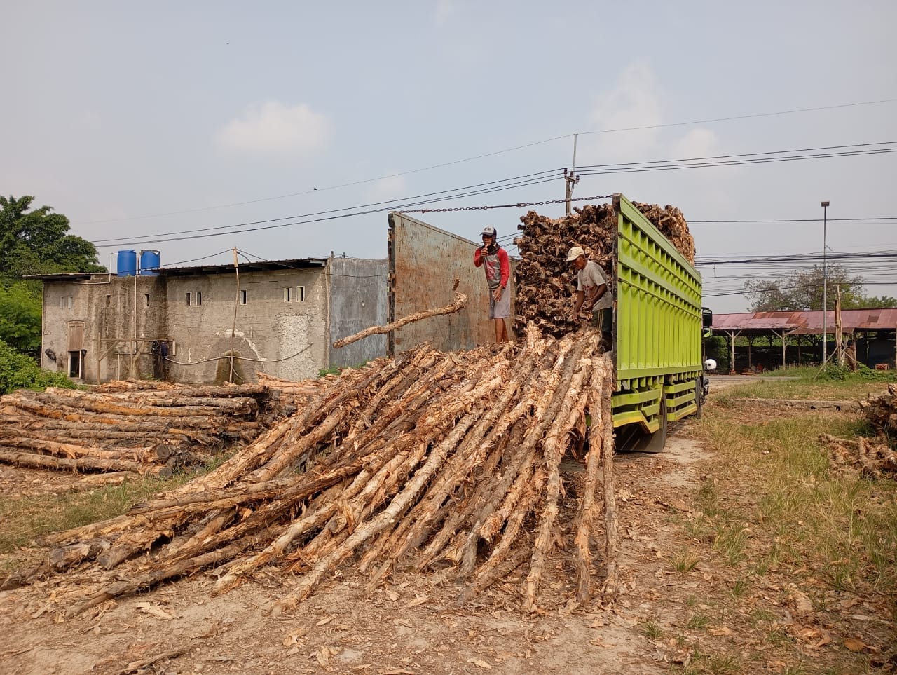 Bongkar muat kayu dolken gelam siap antar ke pelanggan di Ungaran — foto 1