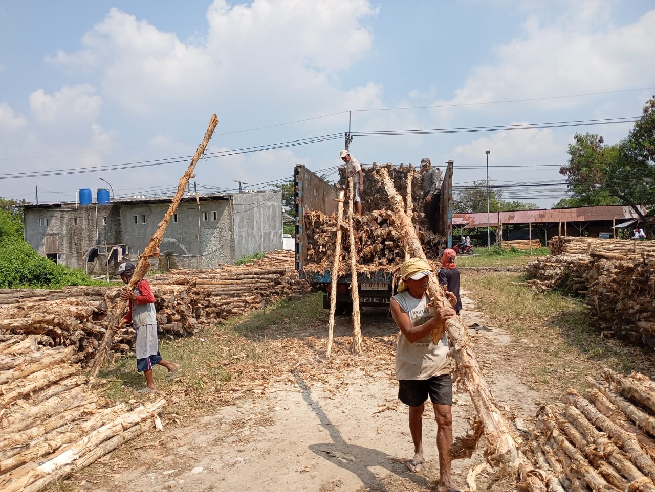 Bongkar muat kayu dolken gelam siap antar ke pelanggan di Wonosobo — foto 1